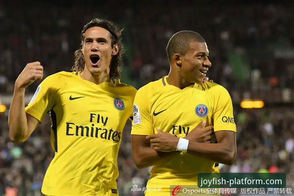 揭秘阿根廷世界杯前折损锋线新星的连锁反应与观赛体验